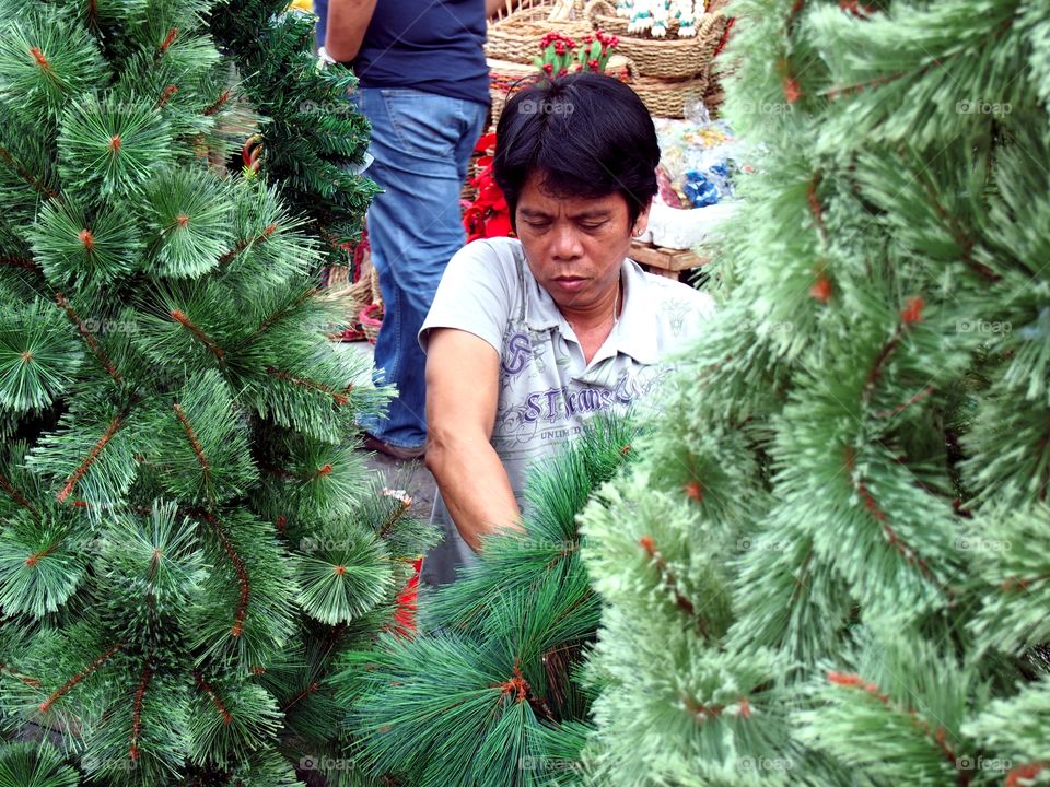 man preparing christmas trees. man preparing christmas trees to be sold in stores in dapitan arcade in manila philippines