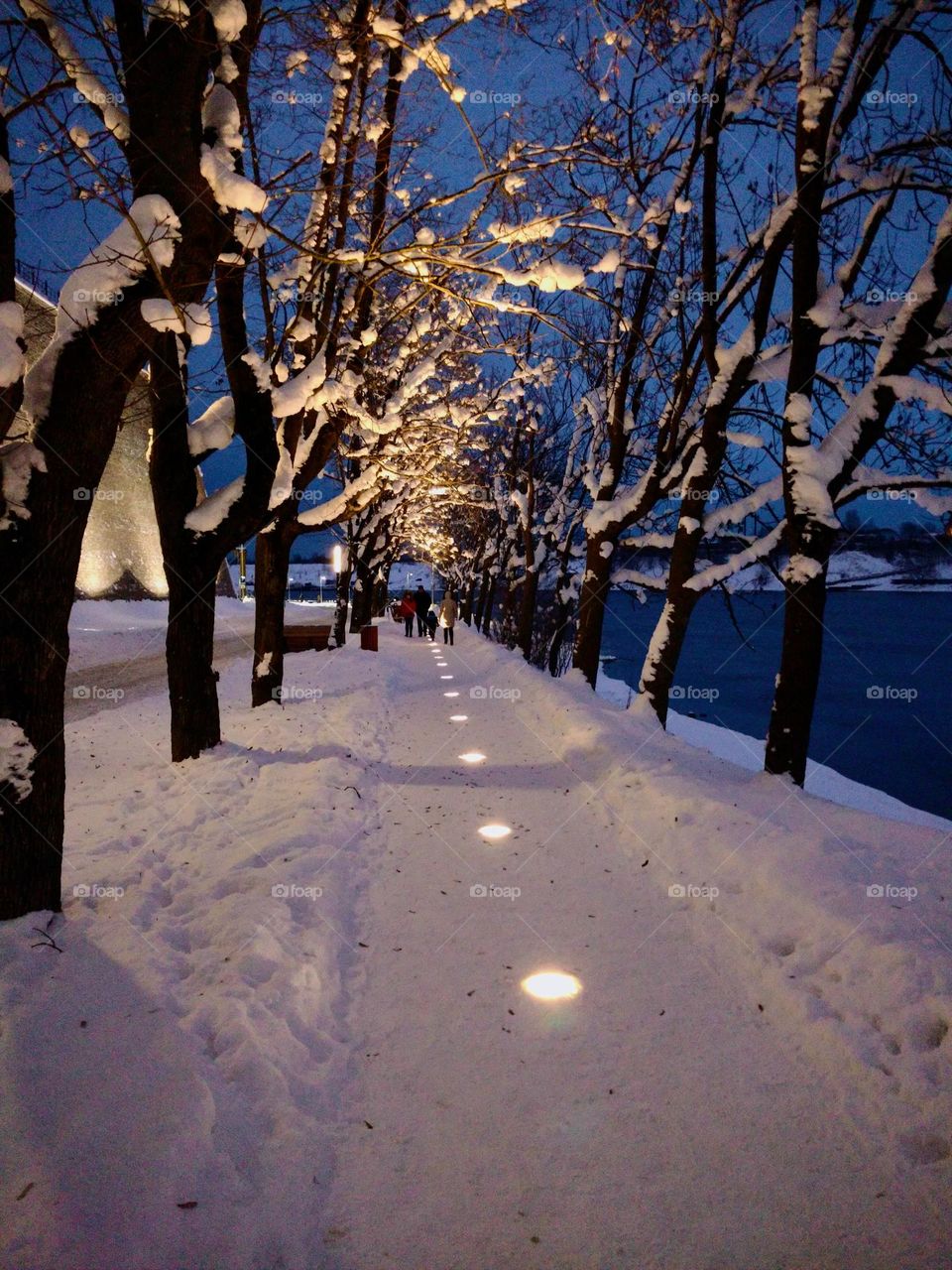 Winter evening