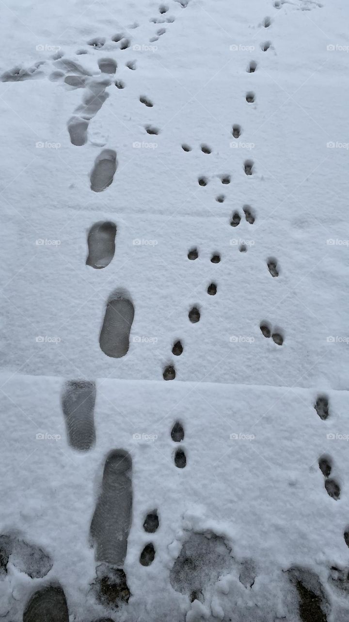 Footprints 