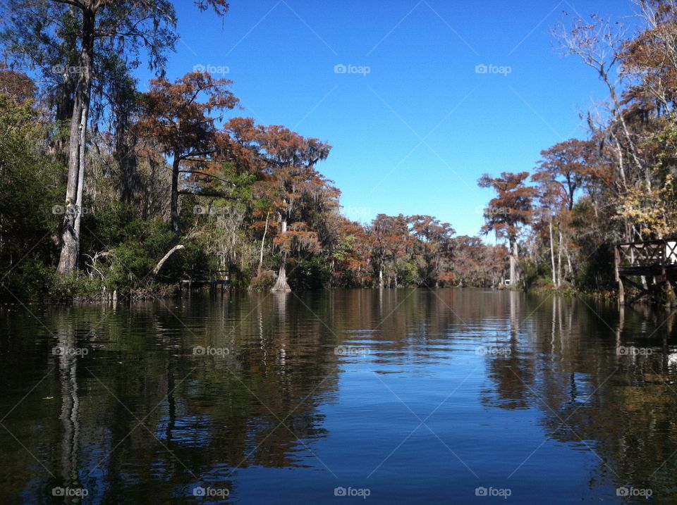 Wakulla River