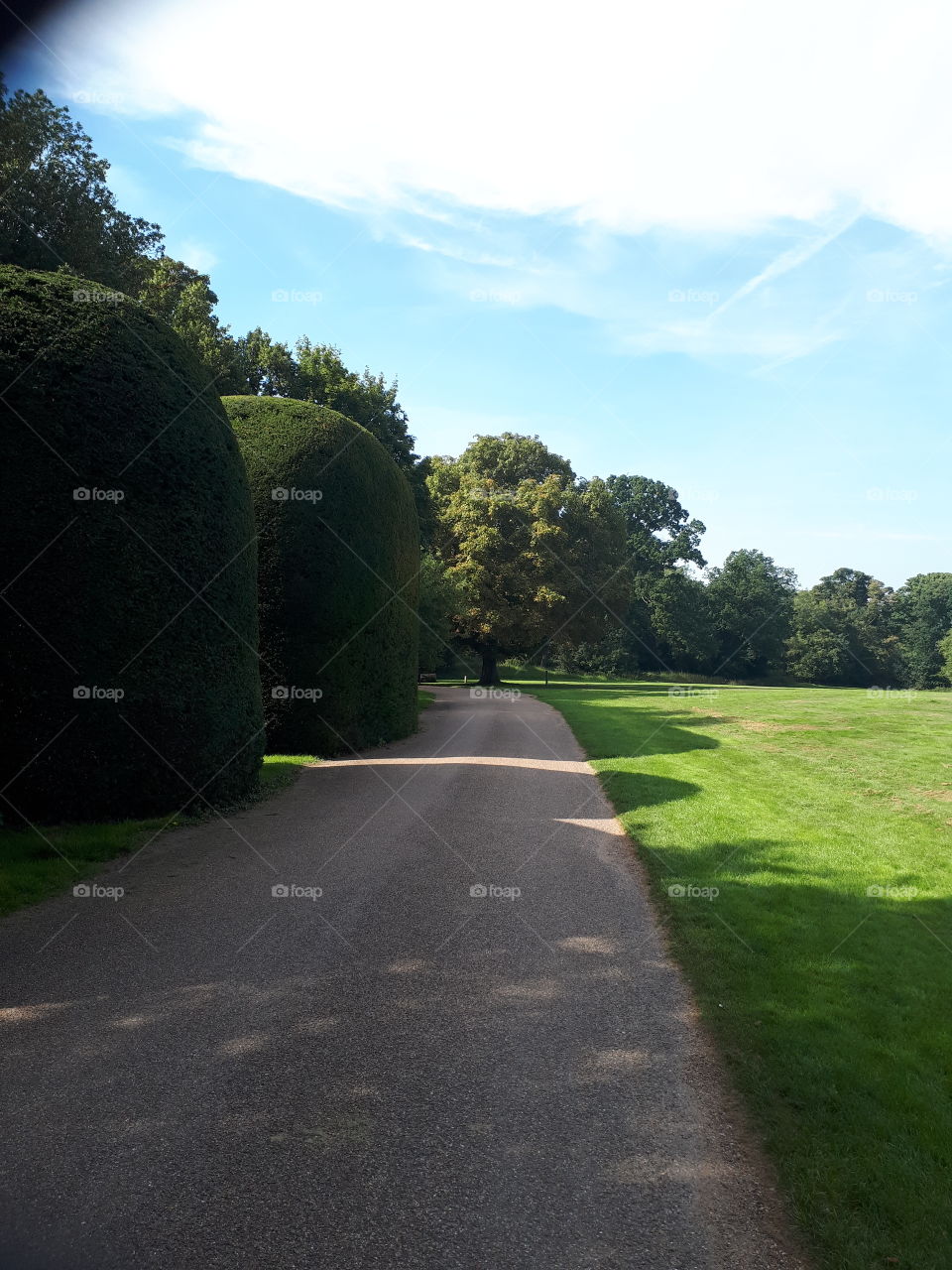 A Countryside Track