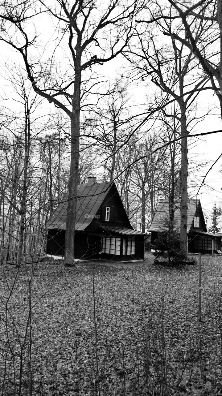 Piccole case nel bosco