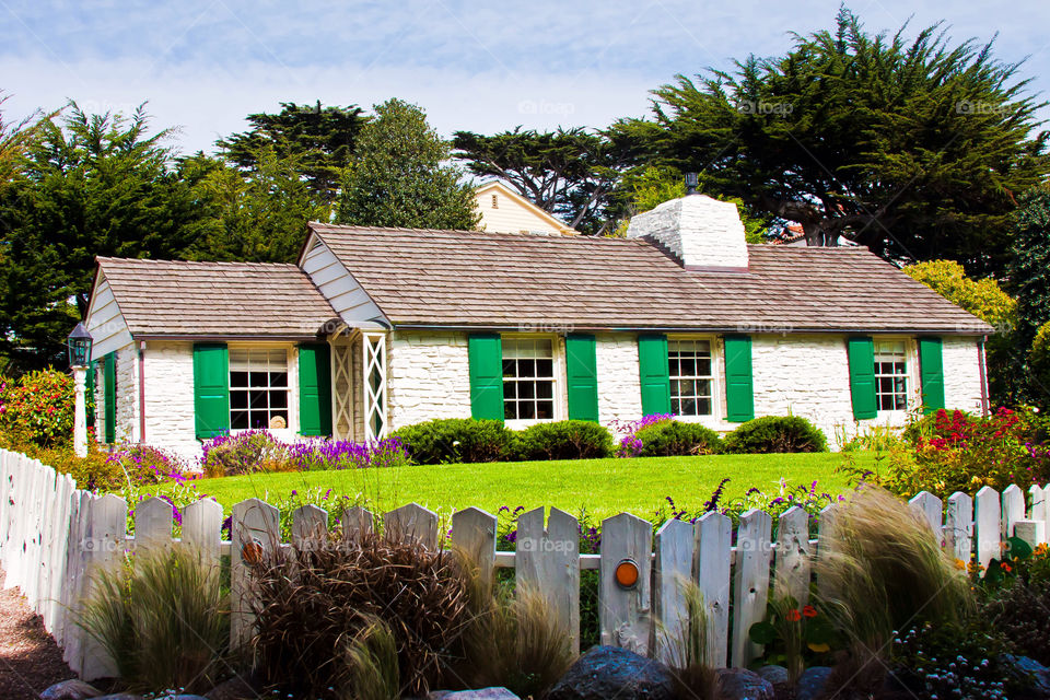 green flower color tree by lorcel