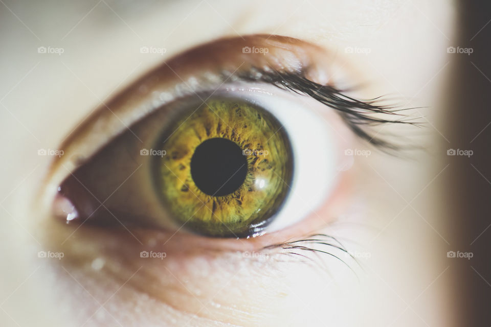 Extreme close-up of person eye