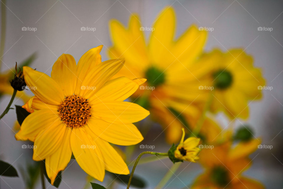 Exploring Switzerland