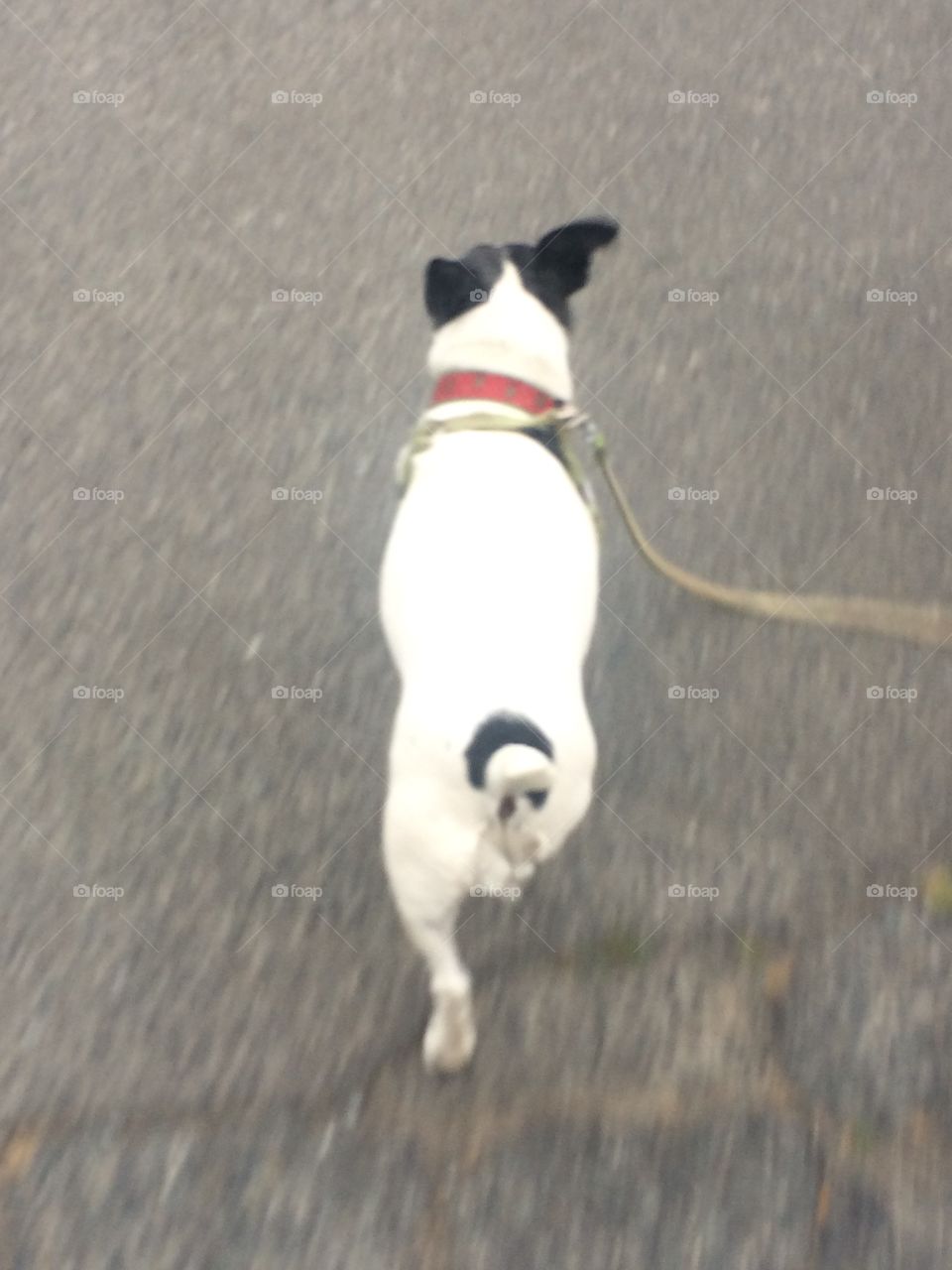 Another day, another walk