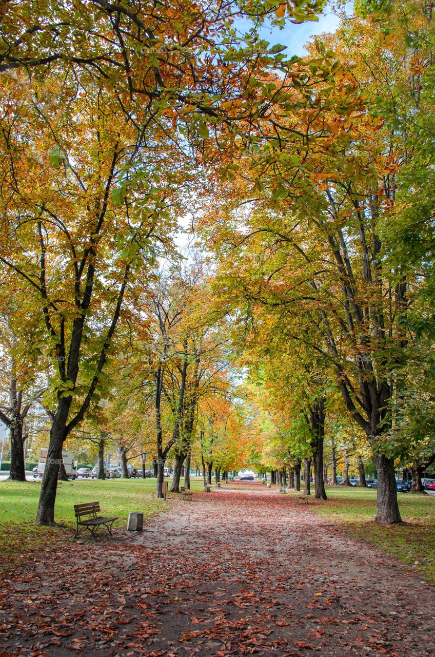 Autumn landscape