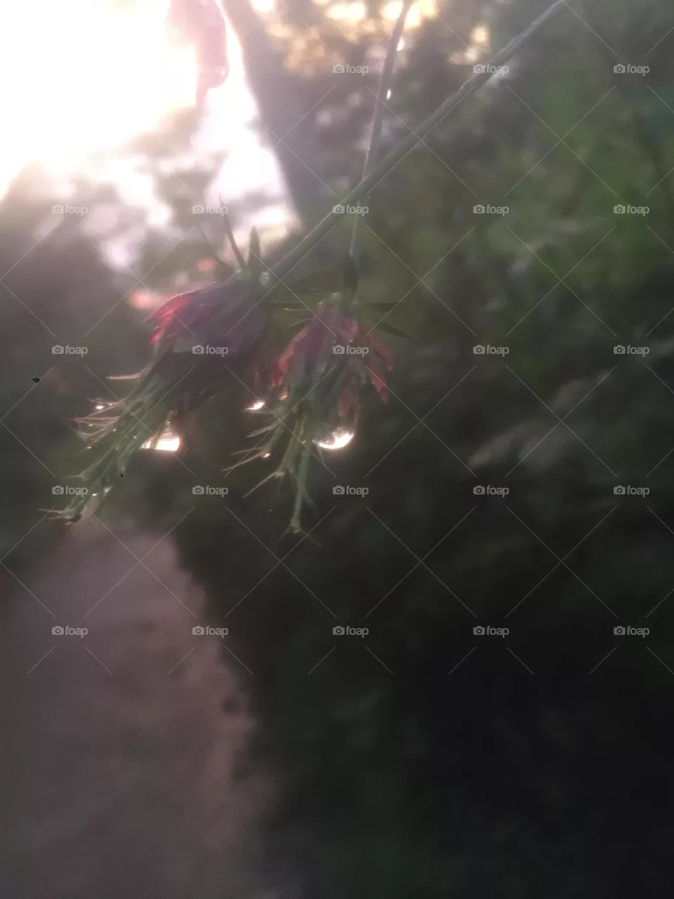 They holding the drops..