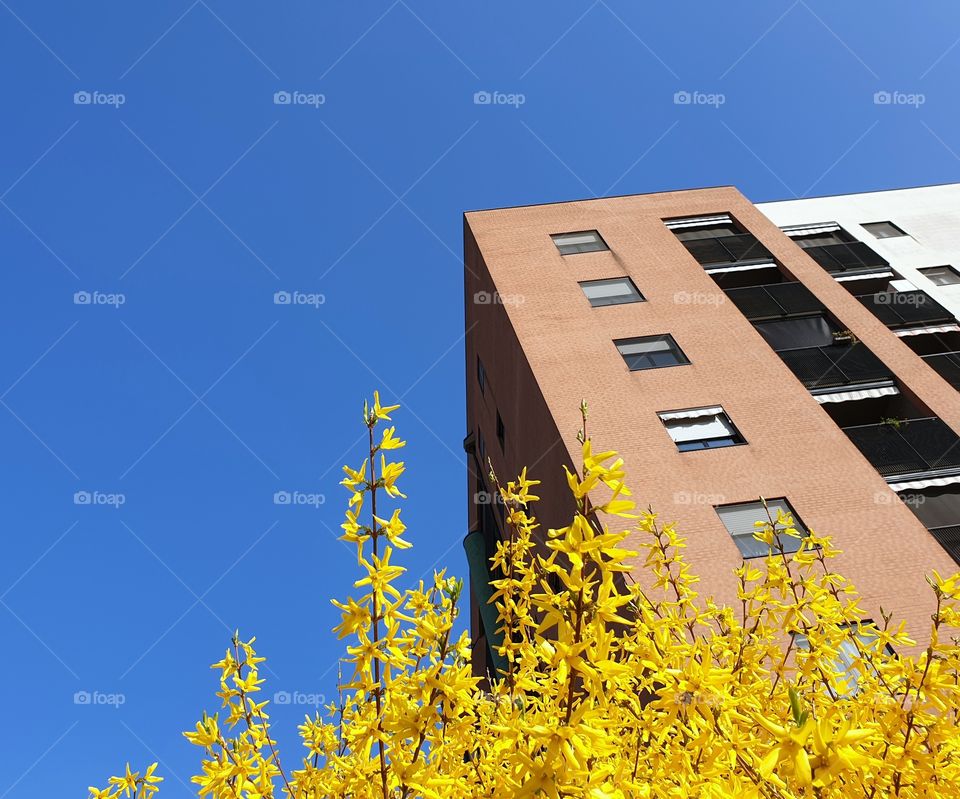 Blue sky and building
