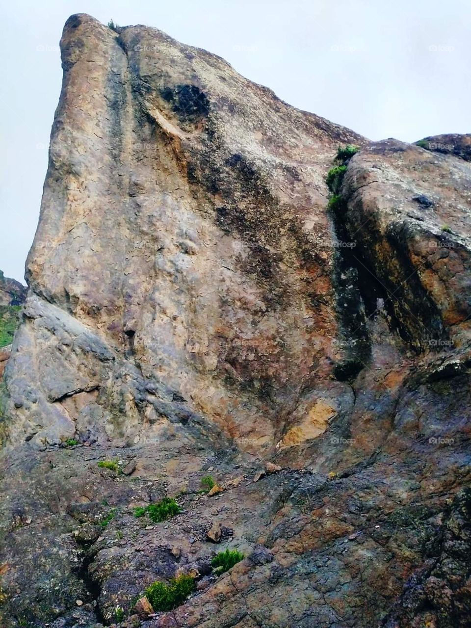 Glory be to God, the magnificent and picturesque view and the natural green trees are a view that is nothing more wonderful than it