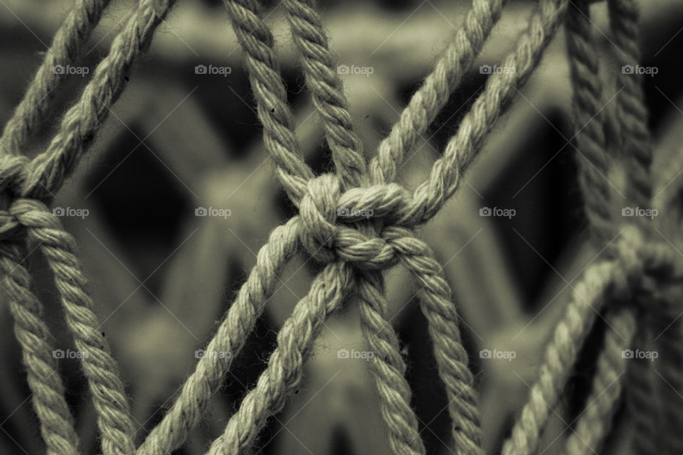 close up macro knot sepia black and white