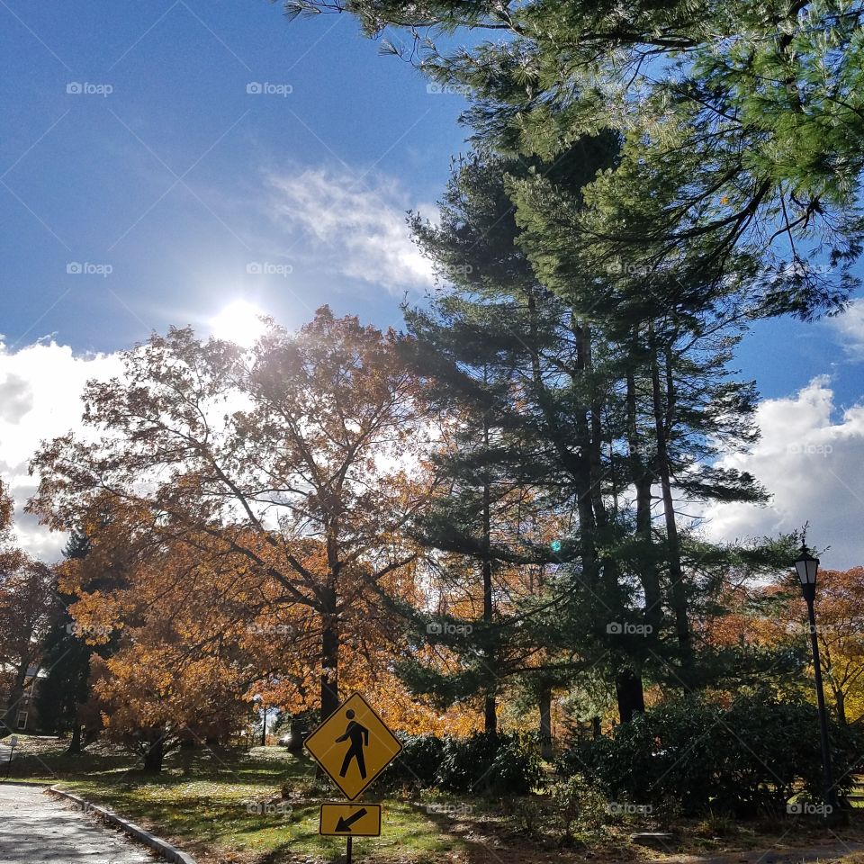 Strolling along on a walk