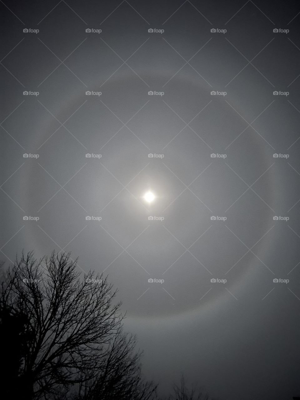A full moon with halo on a foggy night during winter in Maine.