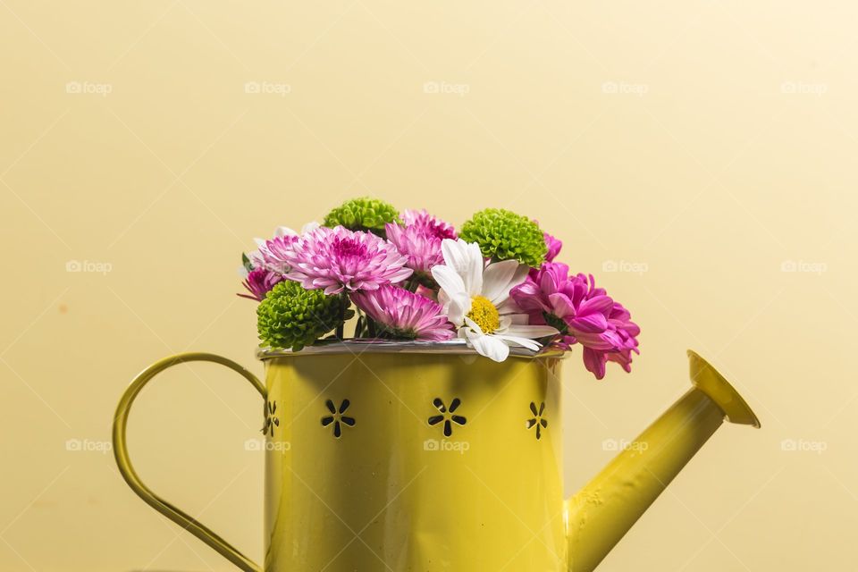 Flower in Watering Can