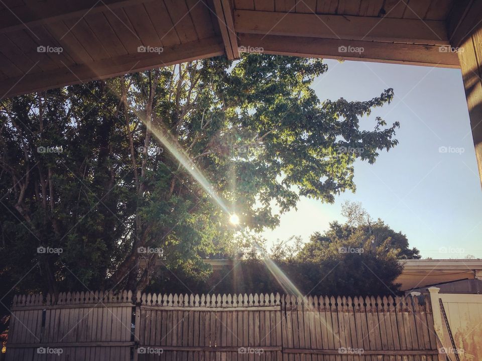 Beautiful sun rays peeking through to say hi. We are enjoying theses warm days as much as we can!