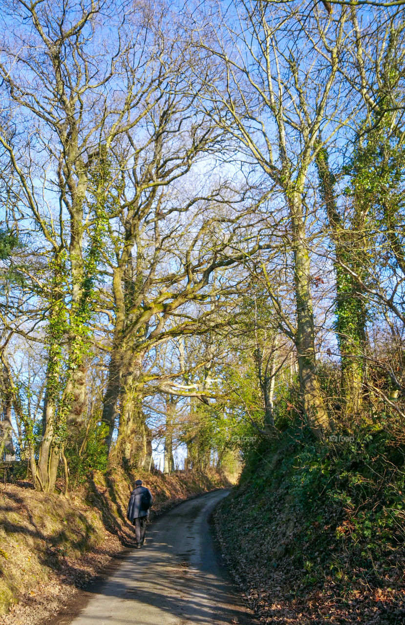 Up a lonely lane / Wales, Welshpool