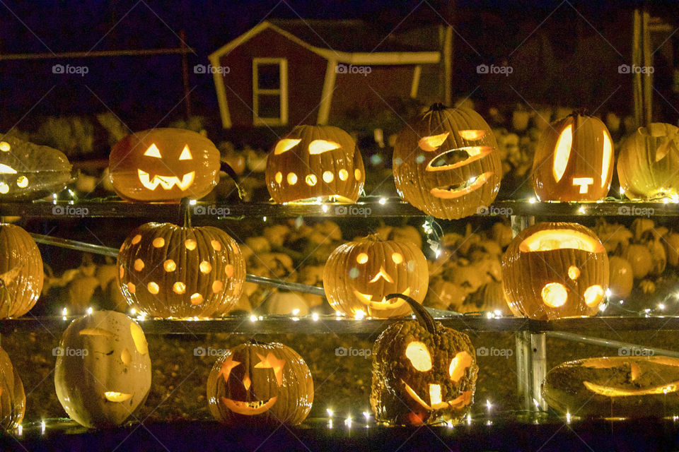 Row of jack-o-lanterns 