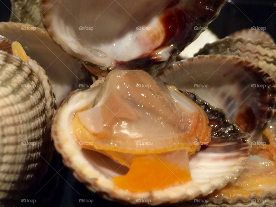 Fresh Seafood from the Waddensea. Very tastefull Cockles.