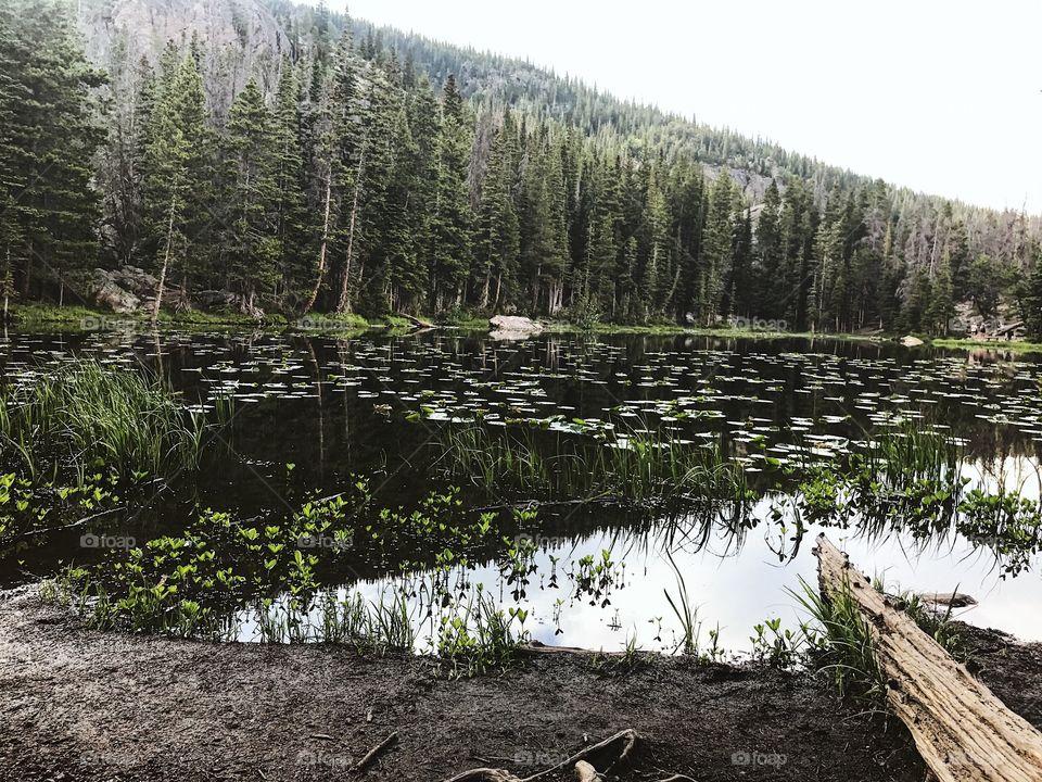 Rocky Mountain National Park- Emerald Lake