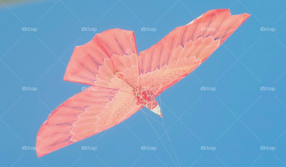 Un aquilone sulla spiaggia di Bali