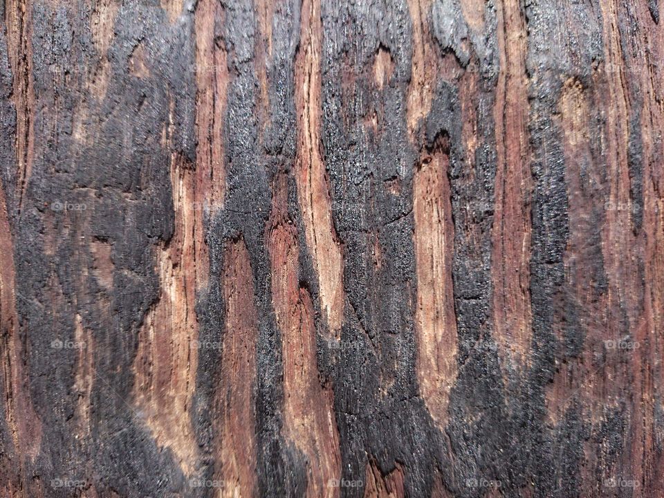 wood pattern