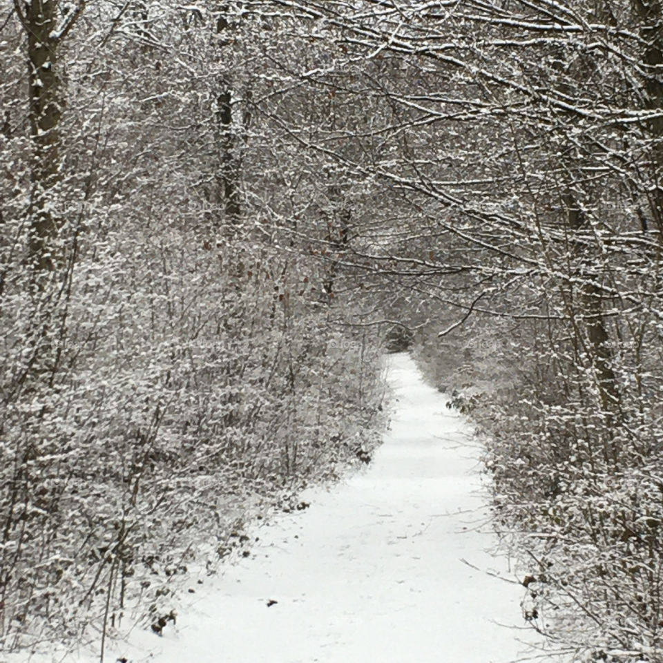 Possible february climat