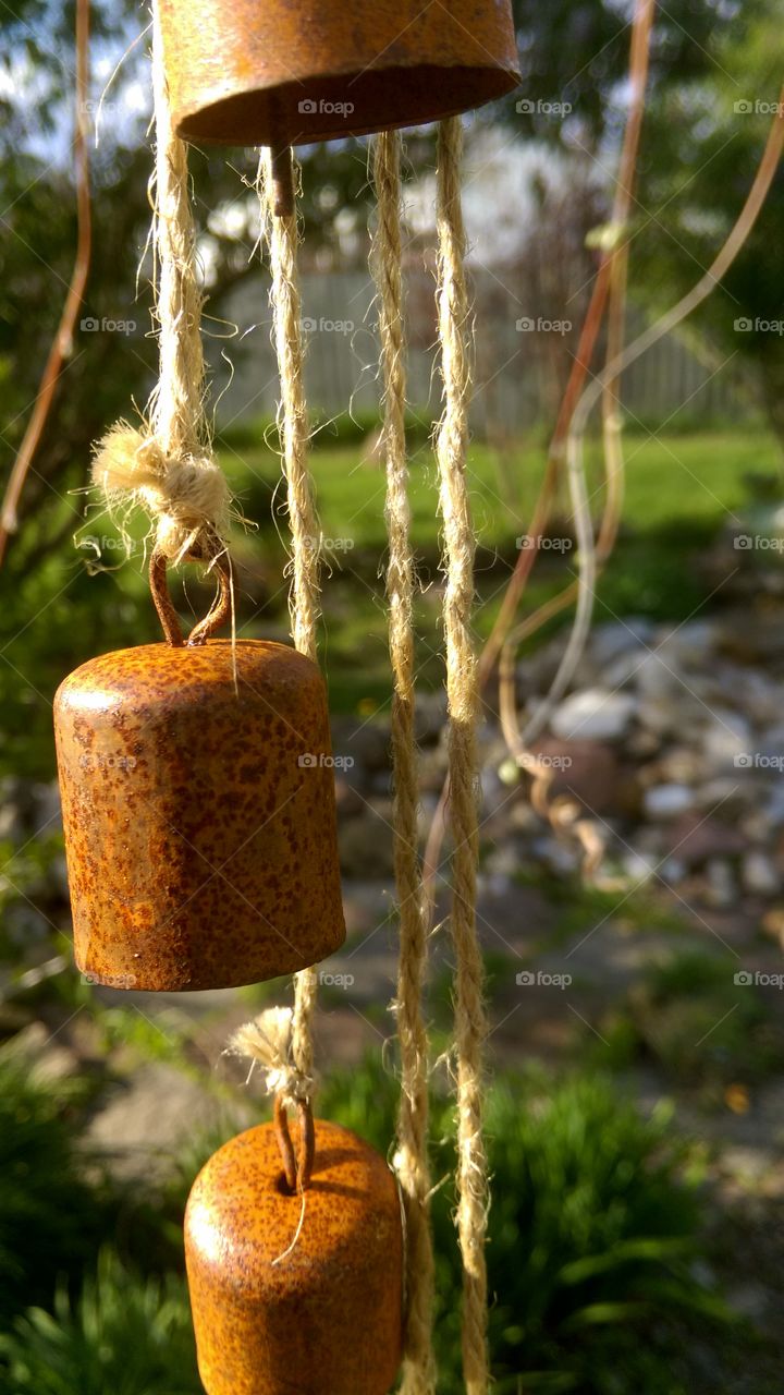 Bells in the back yard 