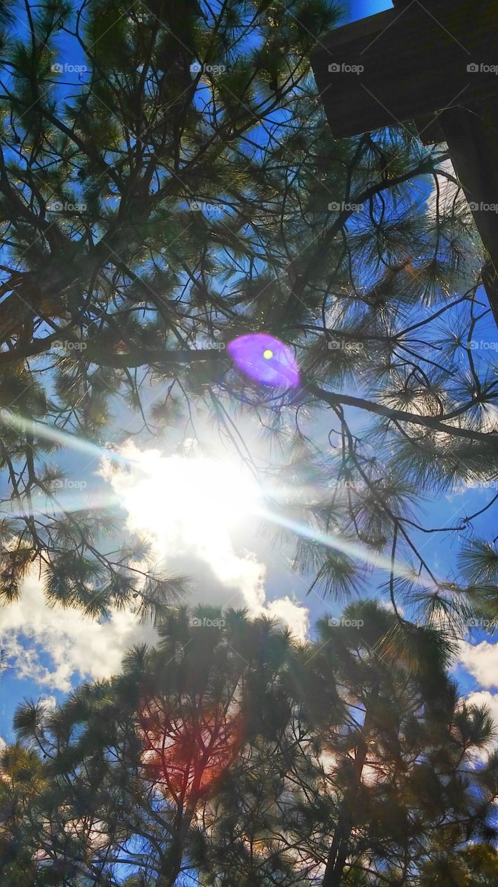 The sunlight peaks through...