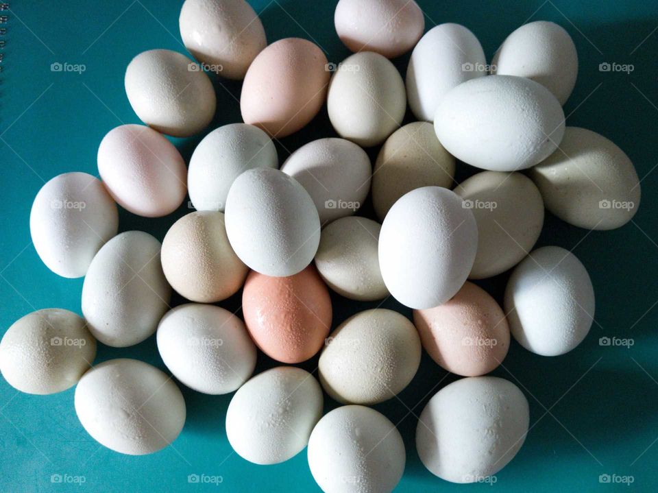 Shapes: ellipse. daily nutritious egg. beautiful shell colors, beautiful ellipse, one egg one whole nessasary nutrition elements every day, do you eat it?