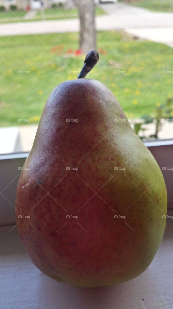 pear. in the window