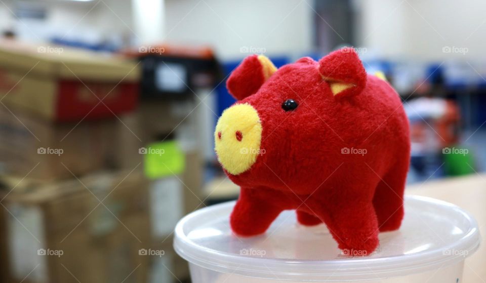 Red baby pig doll photo