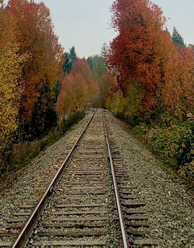 Burning path 