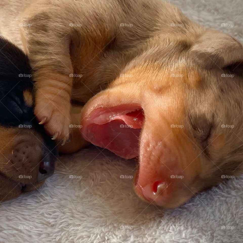 Sleepy mode , Fanstastic 