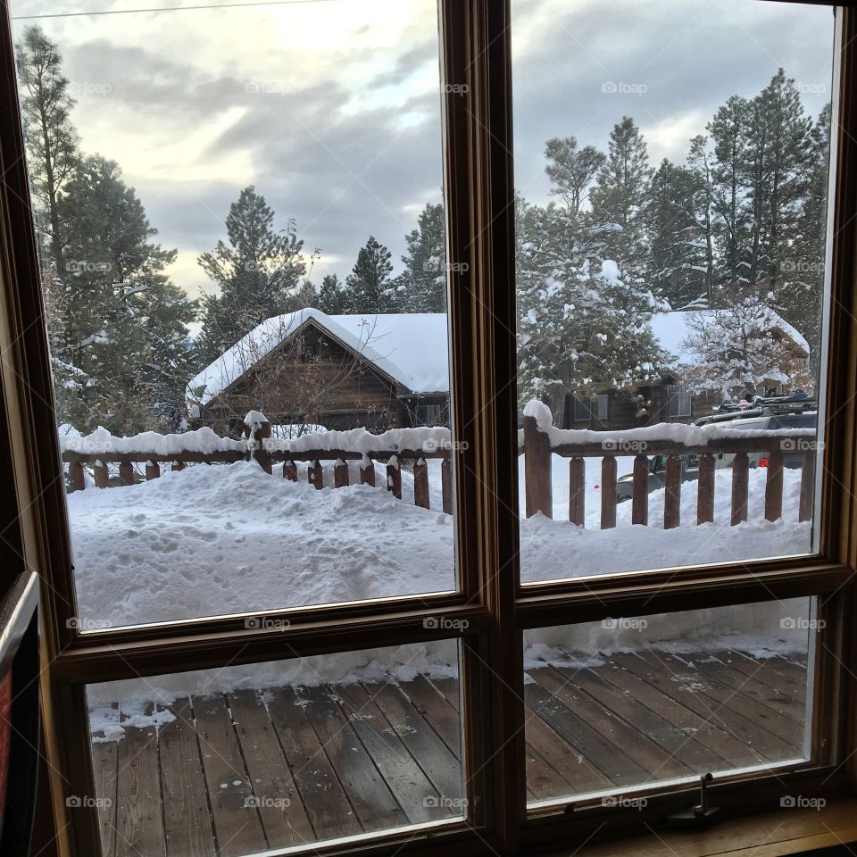 outside the cabin window in Colorado 
