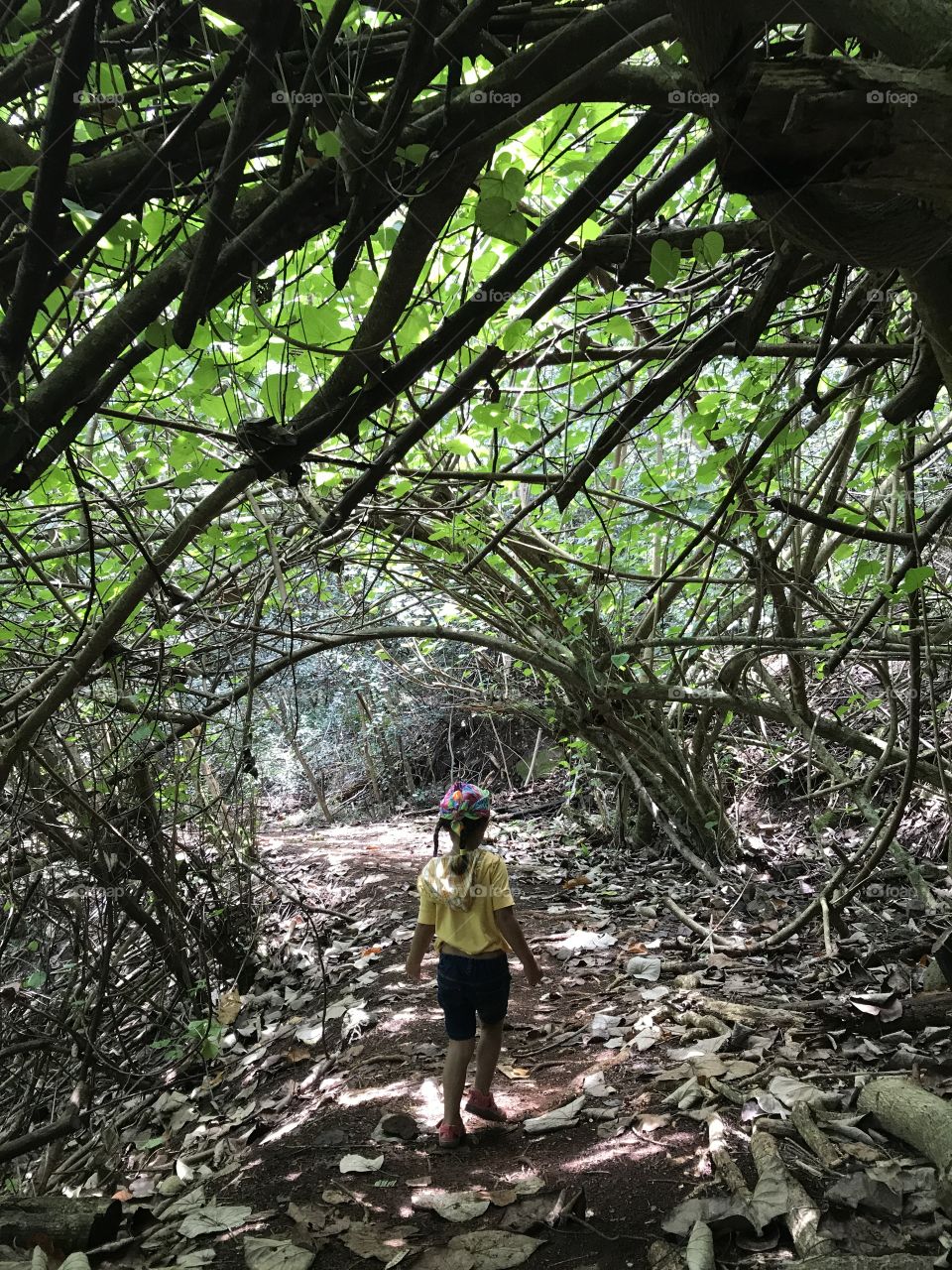 Little girl hiking in Hawaii