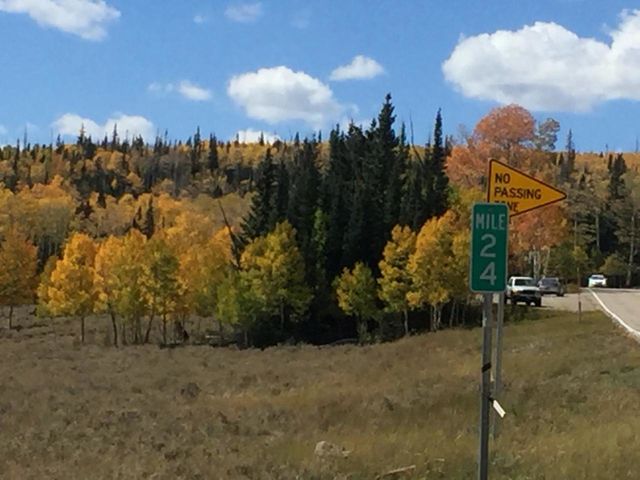 Fall colors in Utah.