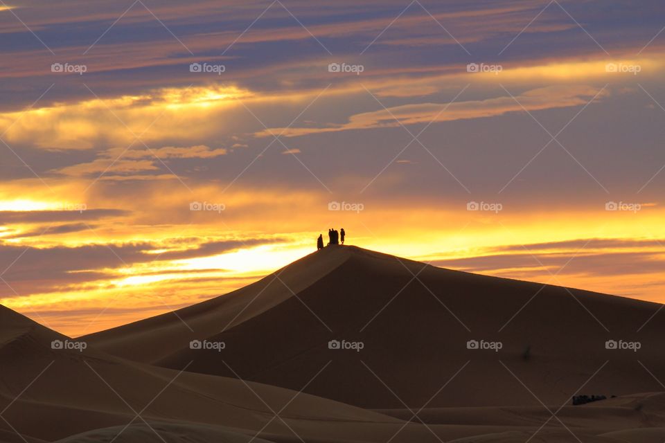 Sunrise on the Sahara. Camels on top of sand dunes 