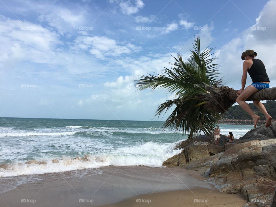 askewed palm on the beach