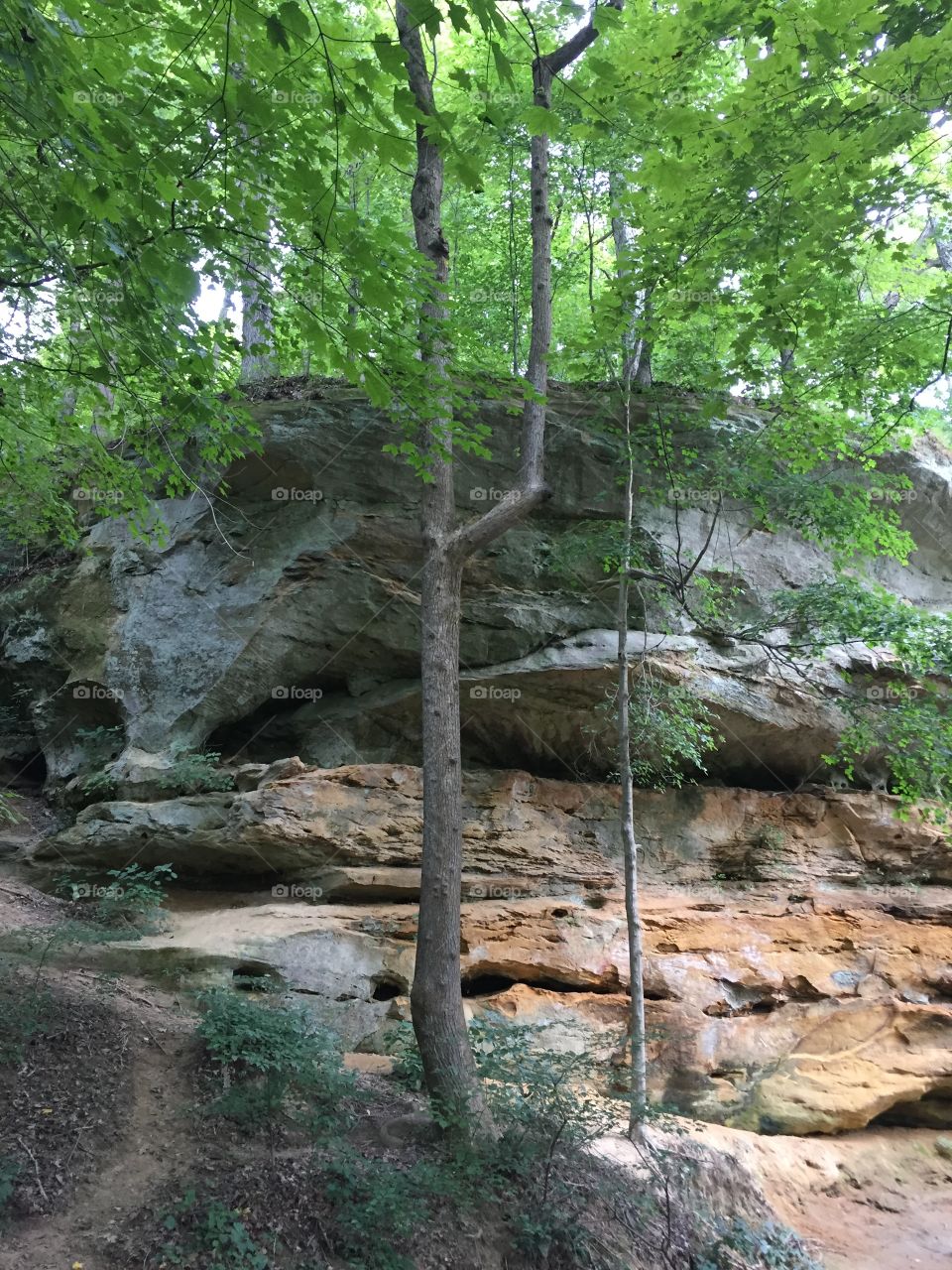 Sandstone bluff at the University of Southern Indiana