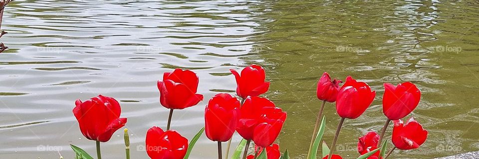 beautiful by the water