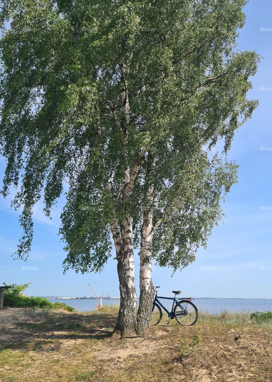 Lonely bicycle