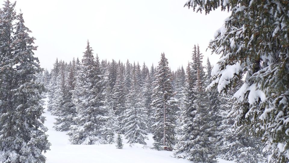 Winter snowfall mountain scene