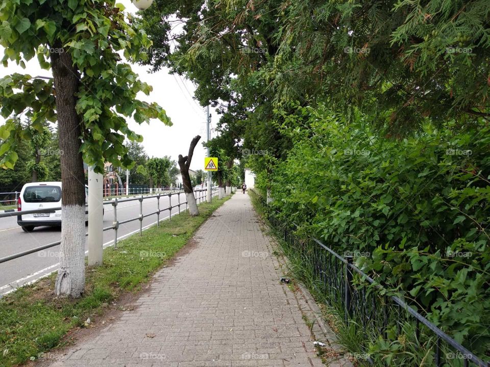 Улица города