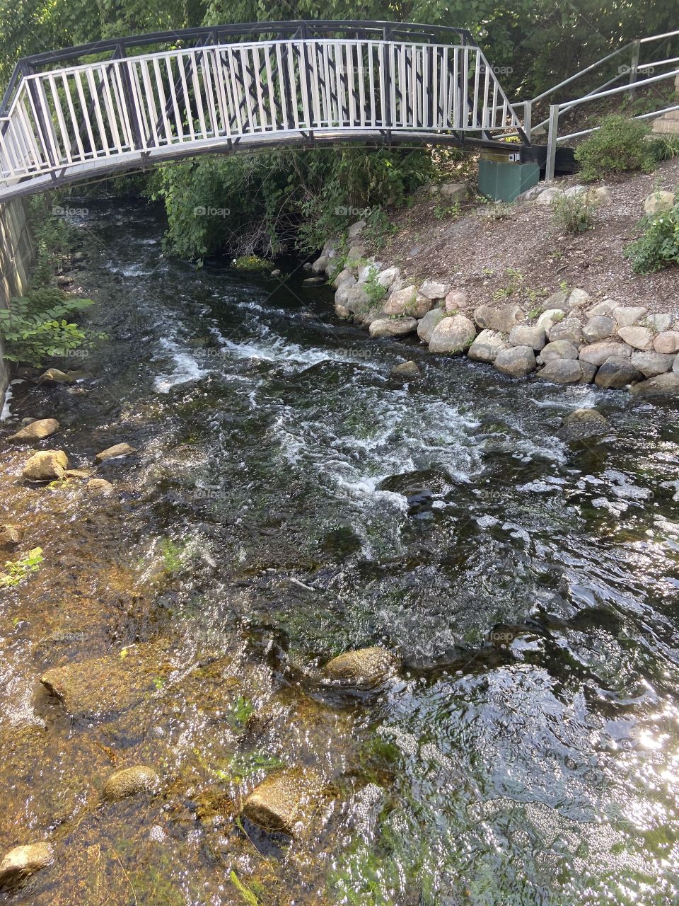A stream and a bridge!