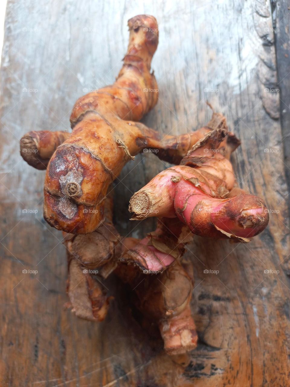 Galangal, laos or kelawas (Karo language) (Alpinia galanga) is a type of tuber plant that can live in highland and lowland areas.