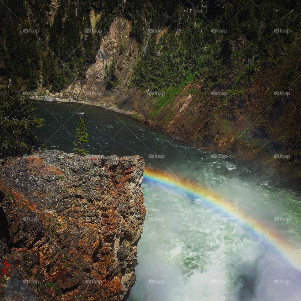 Scenic view of rainbow over river in forest