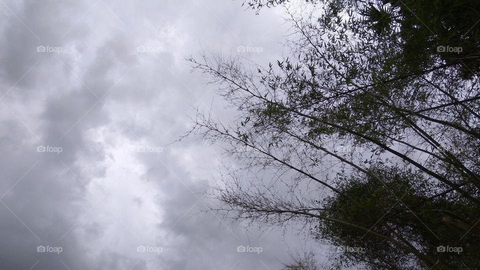 Lovely climate with cloudy