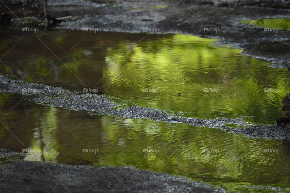 Always one of my favorite little spots in Hocking Hills. 💚