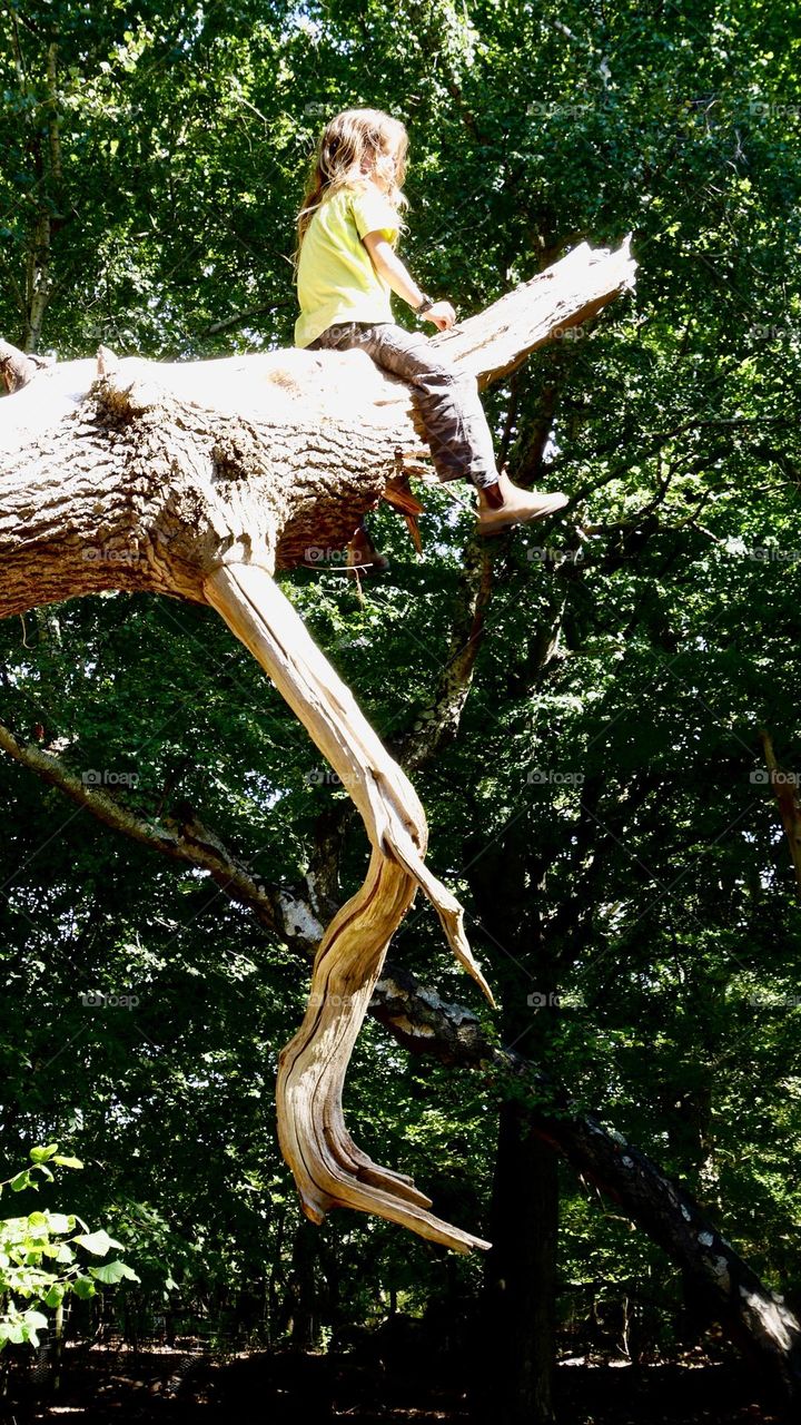 Kid sitting up on an old trunk in the forest 