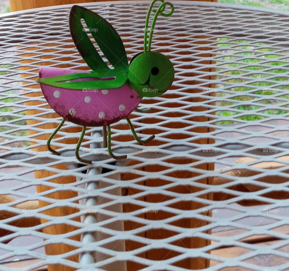 Metallic Bug